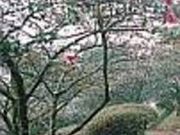 萩の茶屋の写真1