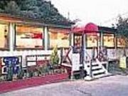 洋風食堂 DINER TOCCO2の写真2