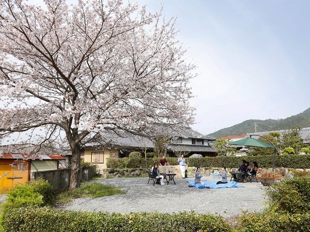 春は桜の木の下でバーベキューができます。_京都田舎暮らし体験古民家