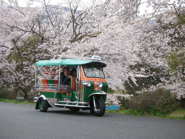 SAVAI