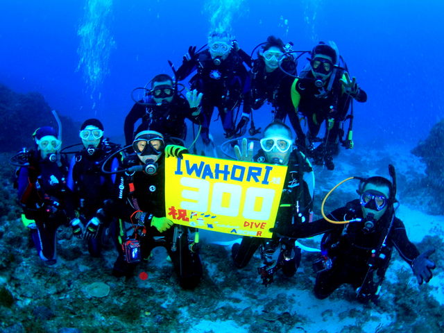 大人数も2ガイドで安心です。_屋久島ダイビングリゾートDIVEANCHOR