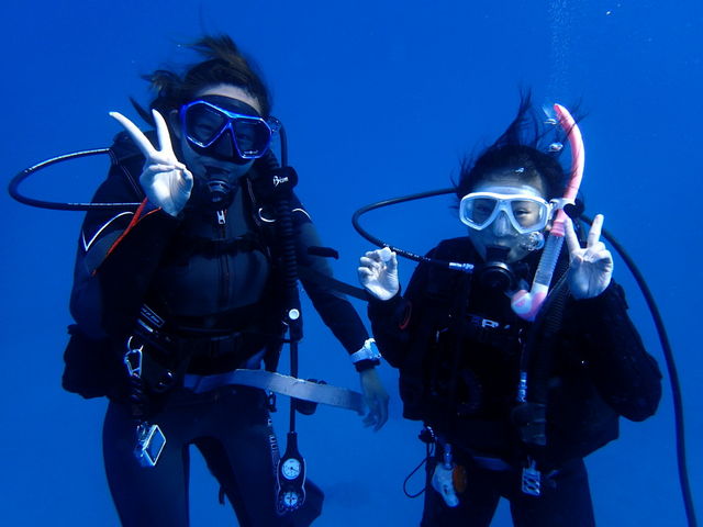 青い海。_屋久島ダイビングリゾートDIVEANCHOR