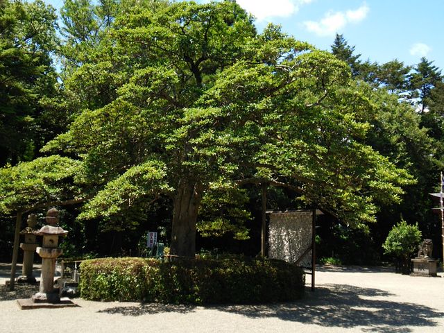 小戸神社
