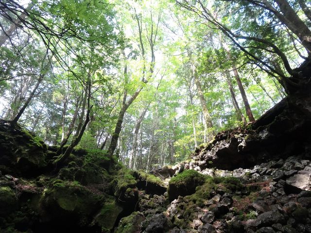 火山洞窟アドベンチャー_富士山ネイチャーツアーズ