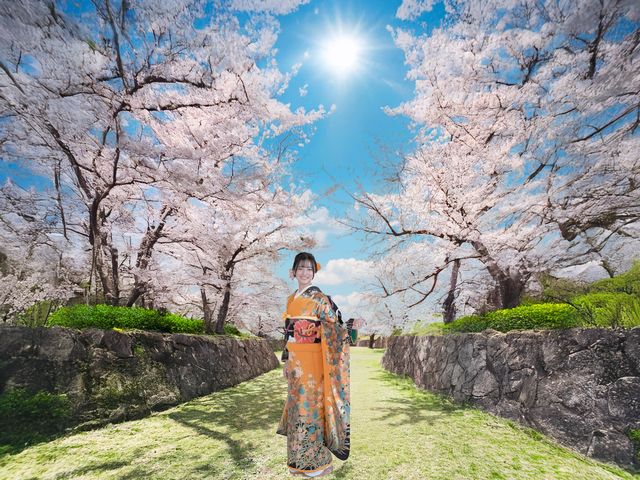 五稜郭公園で桜フォト_函館和洋モダン貸衣裳館