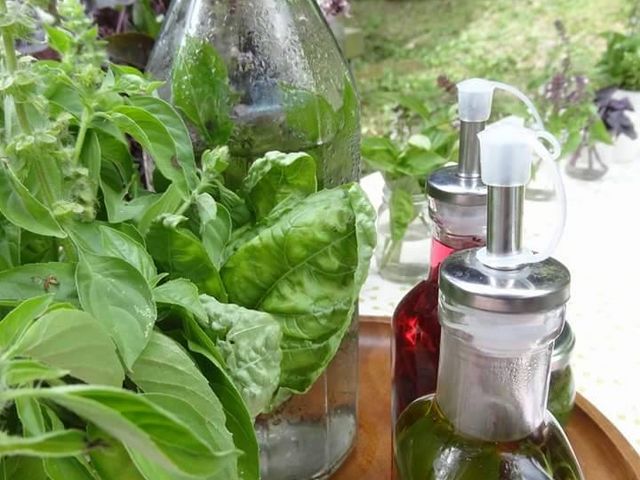 ハーブオイルにハーブビネガー、作るのは簡単。日常の食卓がワンランクアップ致します_ヴィーナース メディカルハーブラボ 九十九里校