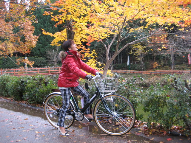 ご希望の駅や、宿泊先のホテルまでレンタサイクルをお届けします★_デリバリーレンタサイクル京都ちりんちりん