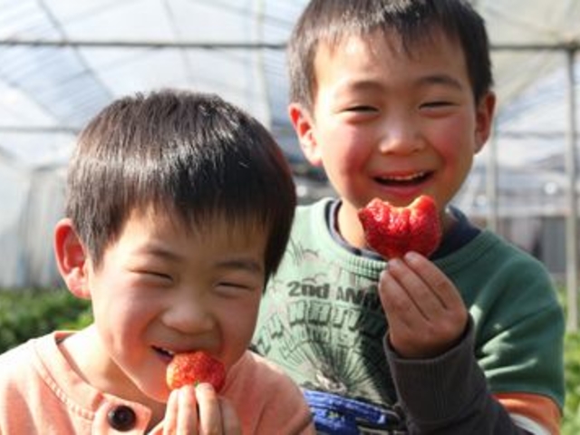 南阿蘇ふれあい農園