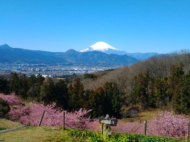 富士山を望む絶景のロケーション_里山シェア大井松田