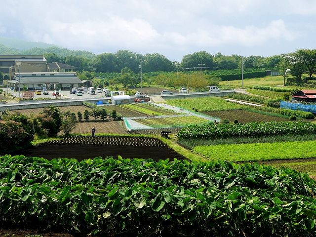 様々な体験やBBQが楽しめる、温泉付き農業体験施設です_里山シェア大井松田