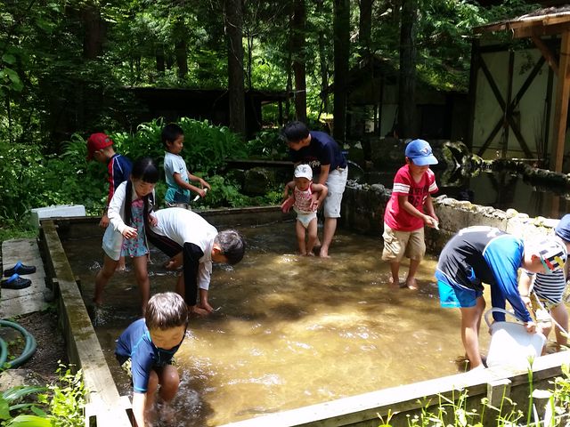 鮎のつかみ取り池_カントリーレストラン渓流荘