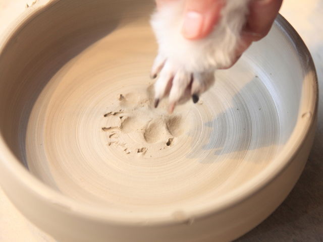 愛犬の肉球を付けた作品も!_愛犬の駅