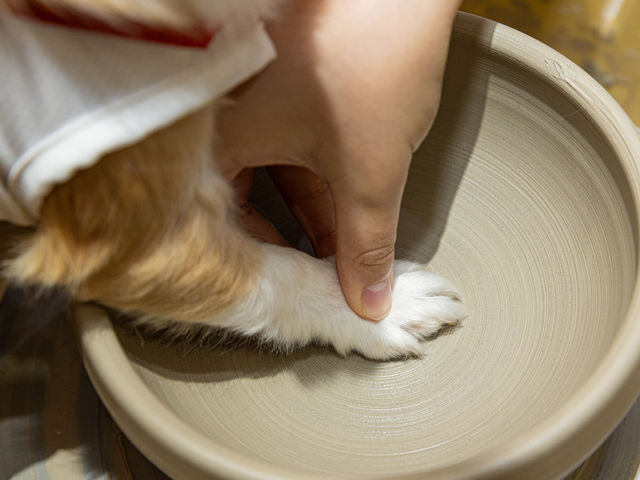 愛犬の肉球を付けた作品も!_愛犬の駅
