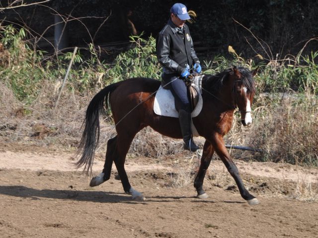 グリーングラス乗馬倶楽部