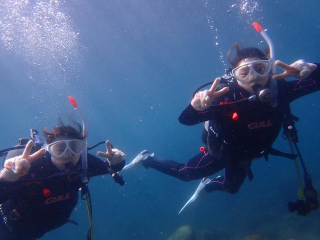 水中世界を楽しみましょう♪_DiveShopSOL