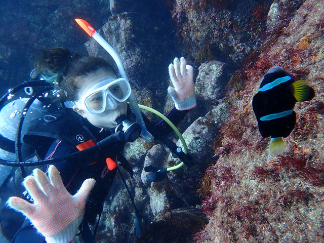 クマノミにも会えます♪_DiveShopSOL