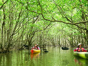 石垣島ドリーム観光の写真4