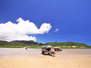 石垣島ドリーム観光の写真3