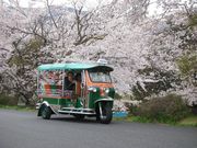 SAVAIの写真3