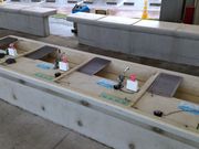 国営海の中道海浜公園デイキャンプ場の写真4