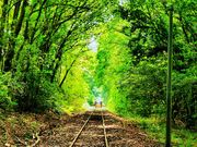 くま川鉄道の写真3
