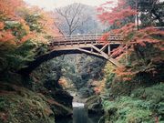 一般社団法人加賀市観光交流機構の写真4