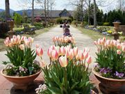 松阪農業公園ベルファームの写真4