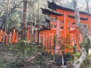 UraUraTour京都の写真2