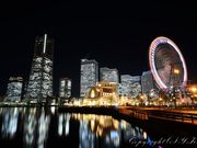 京浜フェリーボート株式会社の写真2