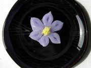 若松屋阡壱の写真3