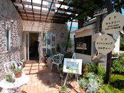 くすの樹の写真2