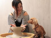 愛犬の駅の写真4
