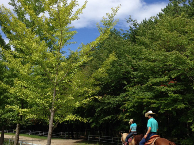 Riding Club Jobard