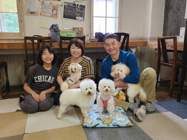 プードルまつり♪_犬カフェ かたのだ