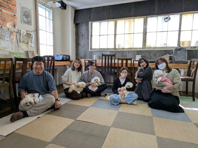 ホワイト毛色まつり♪の中に誰か違う毛色がまじってる?_犬カフェ かたのだ