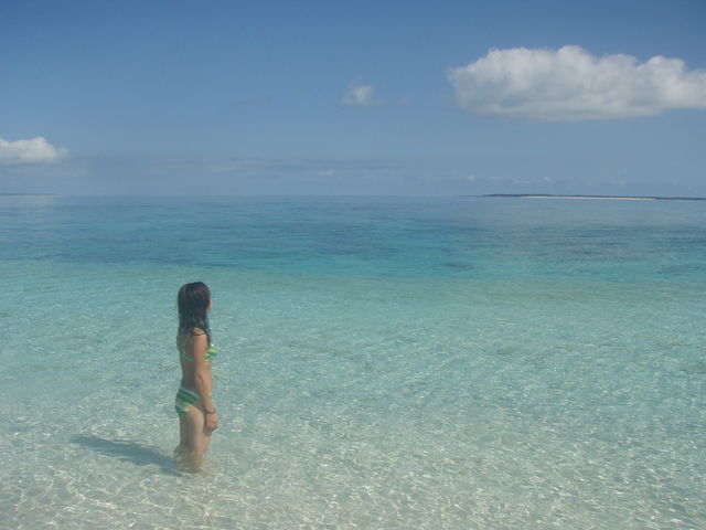 八重山Diving Service Field