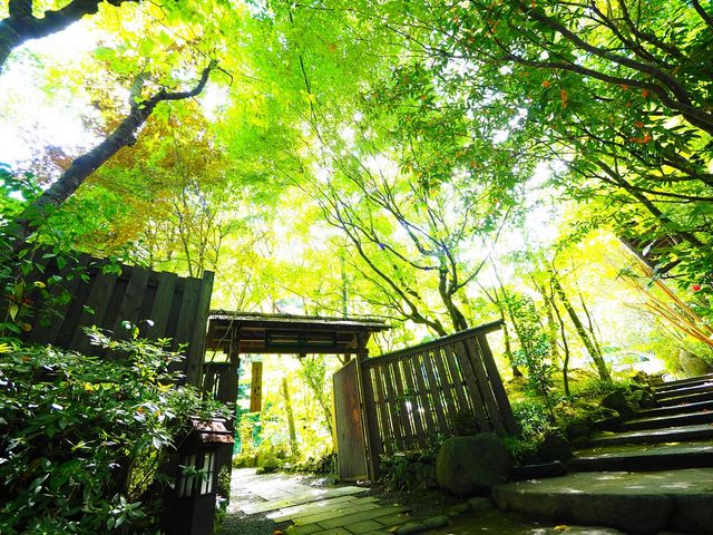 旅籠かやうさぎ