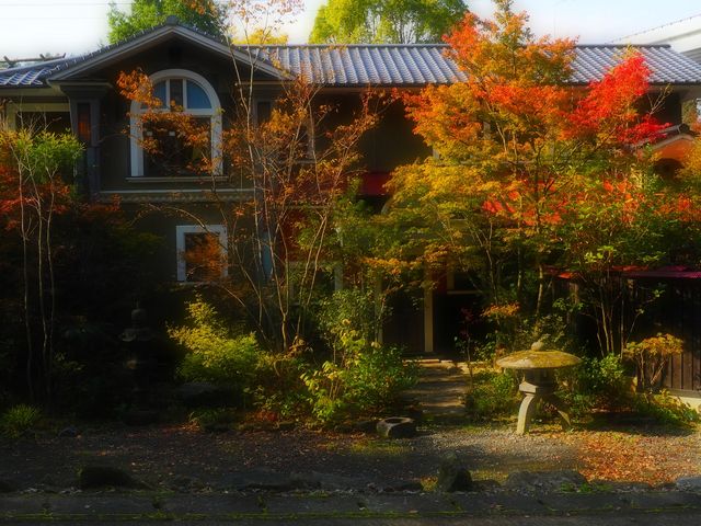 旅籠かやうさぎ