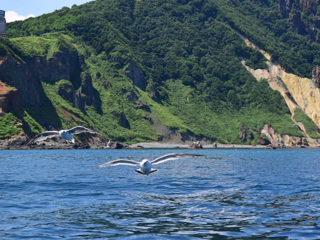 青の洞窟小樽クルージングプロロマリン