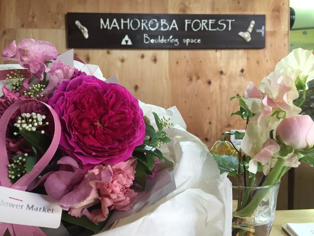 MAHOROBA FOREST