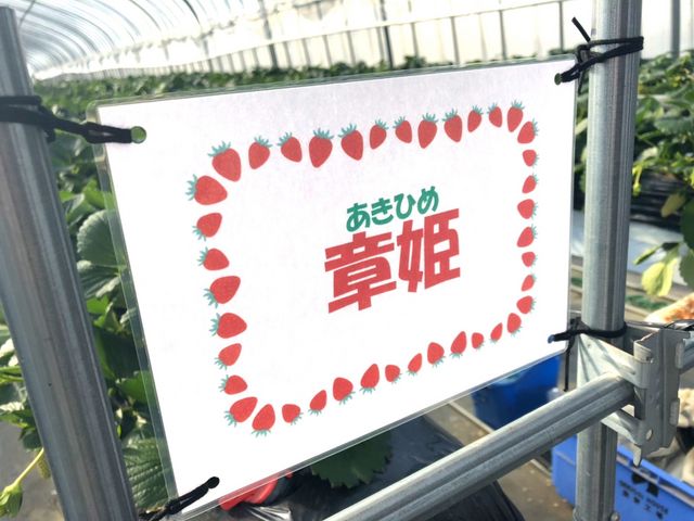 小西ファーム