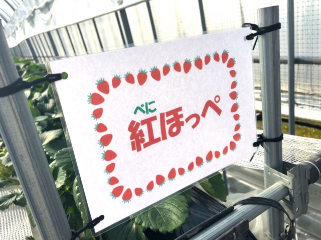 小西ファーム