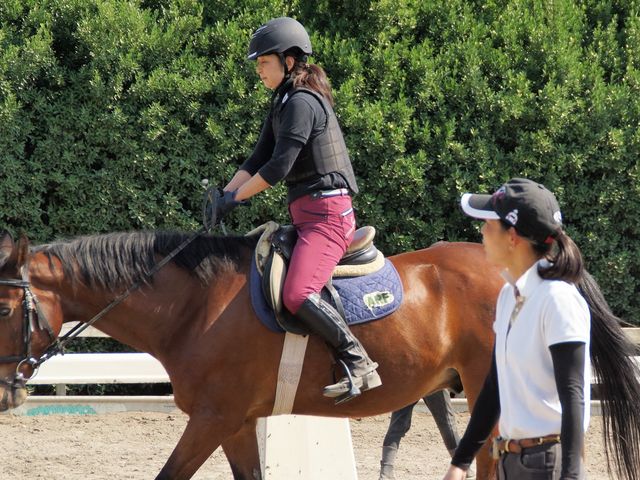 乗馬クラブ アップリケ牧場