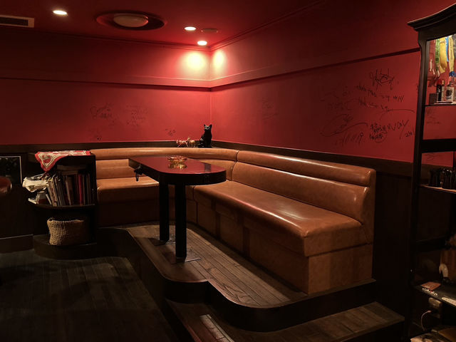 Bar & design