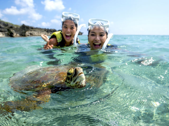 野生のウミガメとの遭遇率は98%!_サマーリゾート宮古島