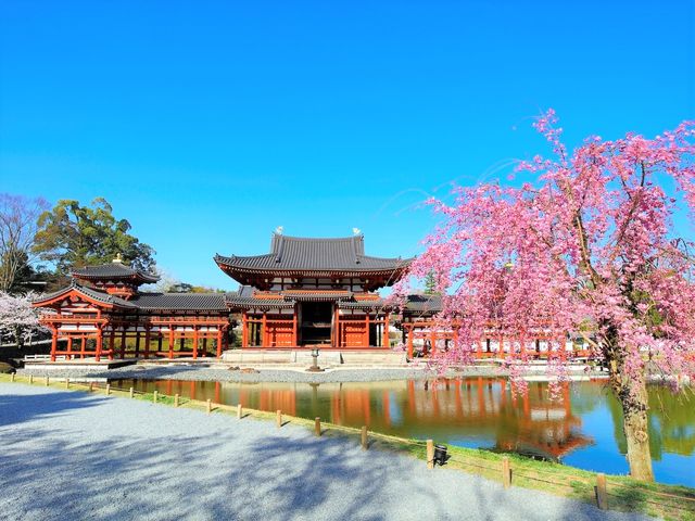 世界遺産・平等院まで徒歩5分☆_花やしき浮舟園