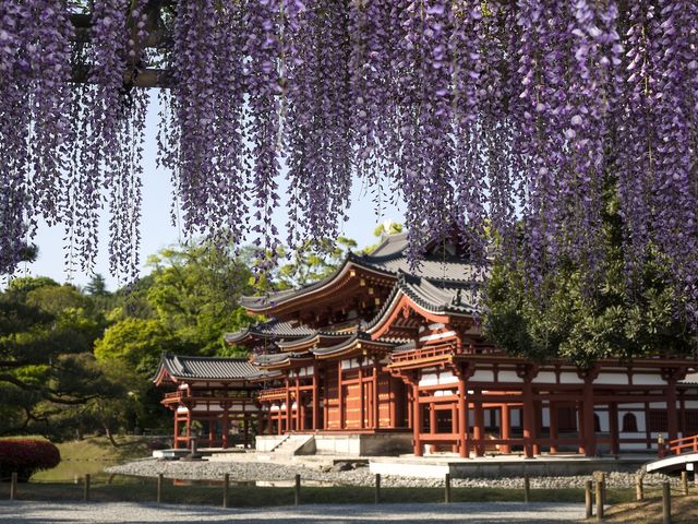 世界遺産・平等院まで徒歩5分☆_花やしき浮舟園