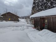 森のテラスの写真3