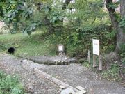 わき水「幸震(こうしん)」の写真2