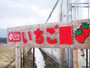 夢ファームあらかわいちご園の写真3
